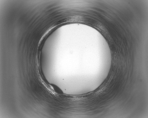 X0000053120796200508081250