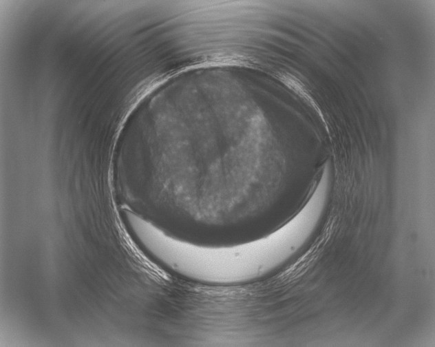 X0000053120797200508081250