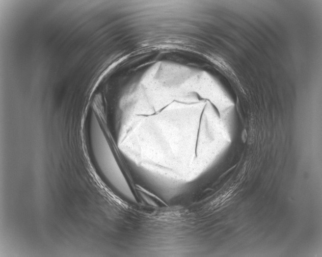 X0000053120798200508081250