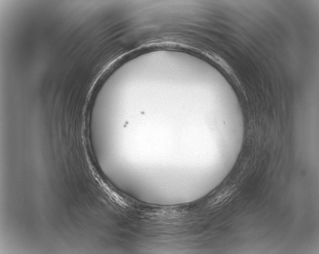 X0000053120799200508081250