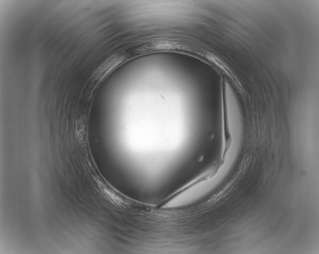 X0000053120801200508081250