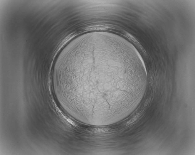 X0000053120802200508081250