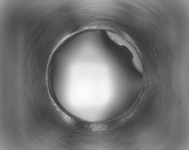 X0000053120803200508081250