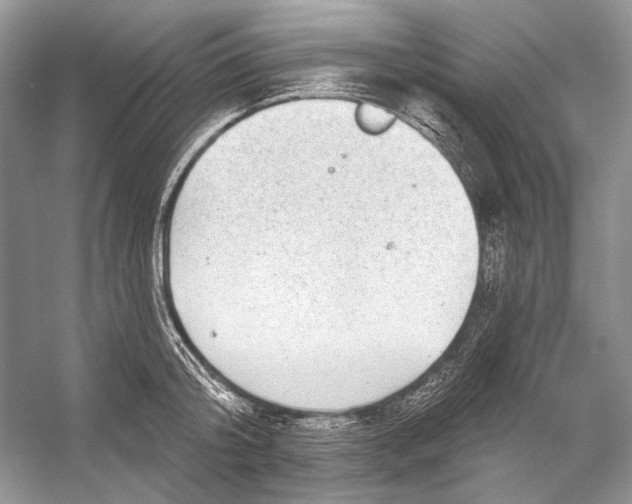 X0000053120804200508081250