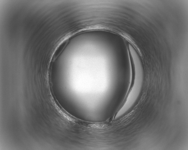 X0000053120805200508081250