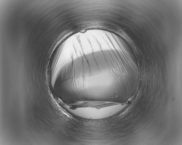 X0000053120806200508081250