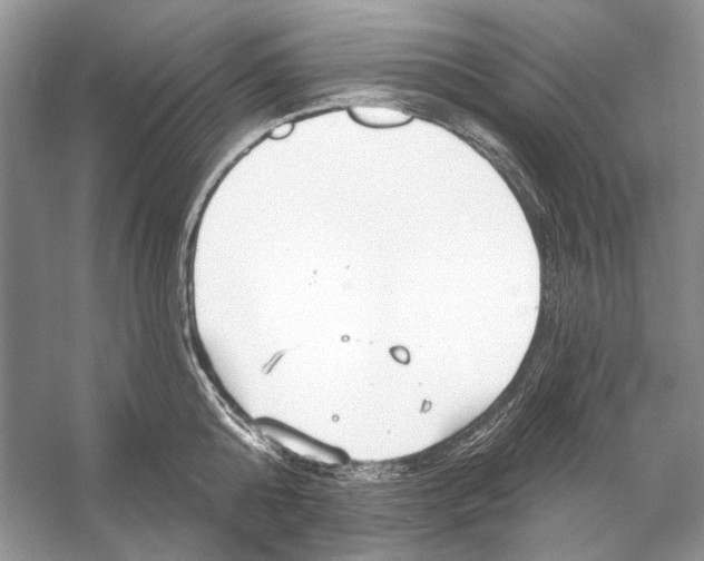 X0000053120808200508081250