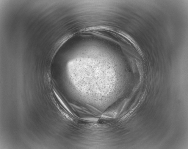 X0000053120809200508081250