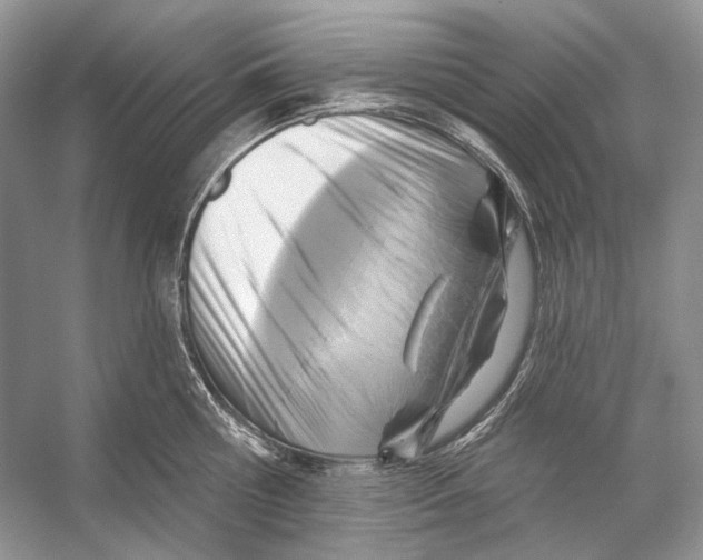 X0000053120810200508081250