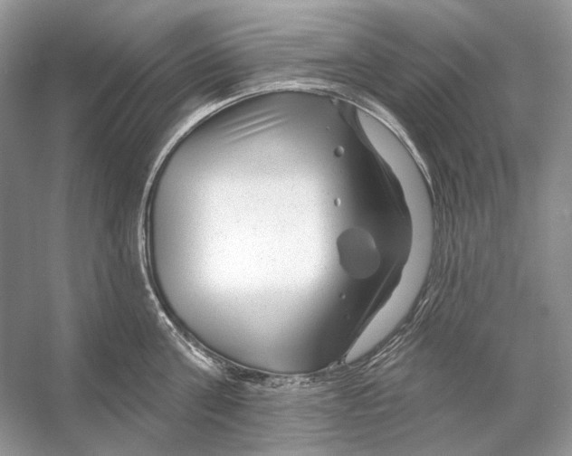 X0000053120811200508081250