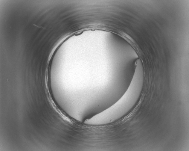 X0000053120812200508081250