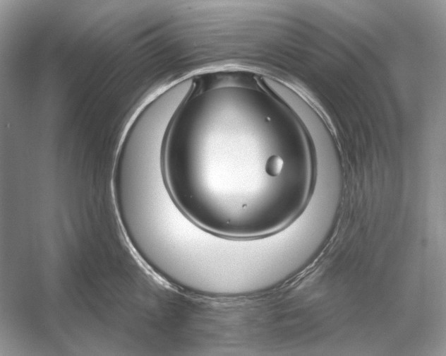 X0000053120813200508081250