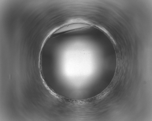 X0000053120815200508081250