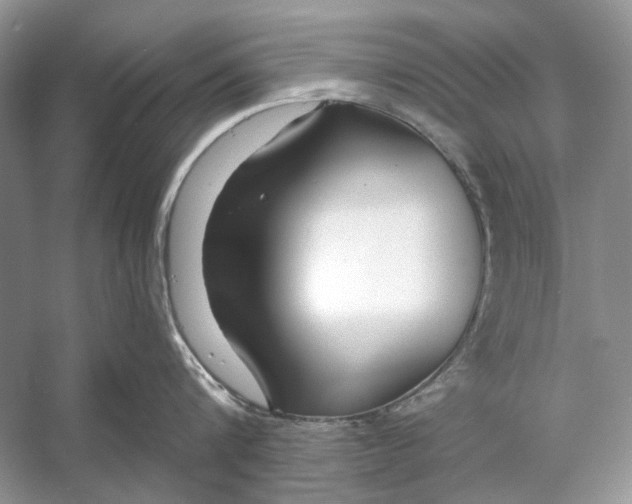 X0000053120816200508081250