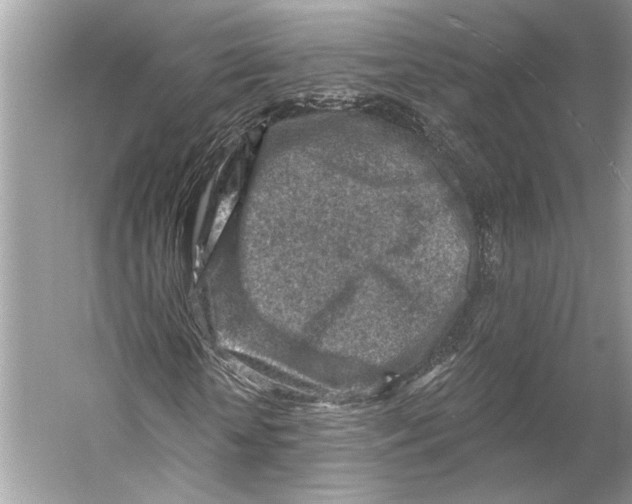 X0000053120818200508081249