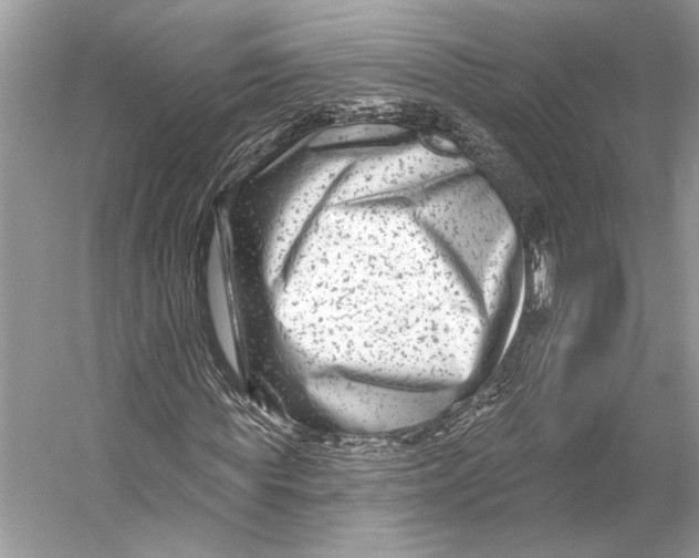 X0000053120819200508081249