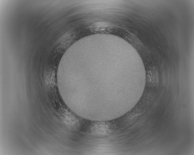 X0000053120820200508081249