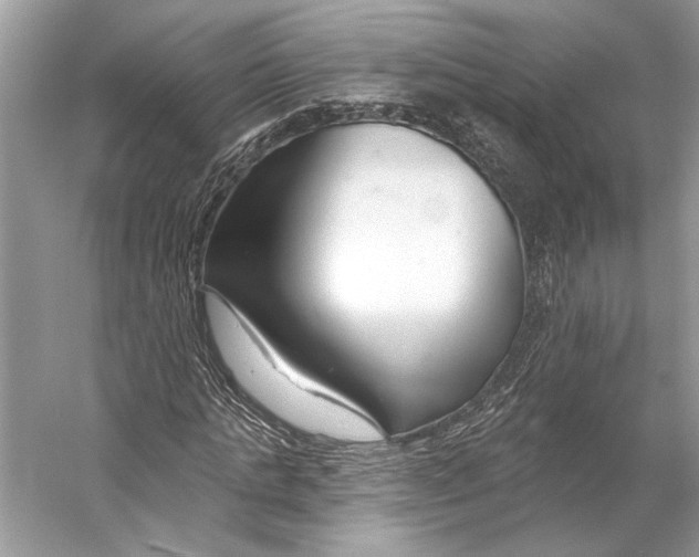 X0000053120821200508081249