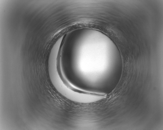 X0000053120822200508081249