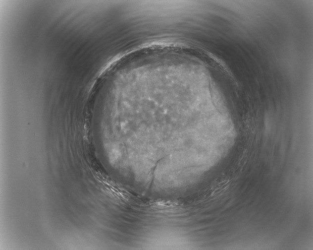 X0000053120823200508081249