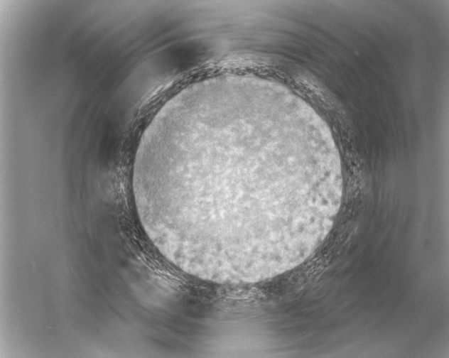 X0000053120824200508081249