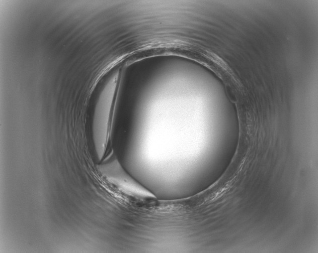 X0000053120826200508081249