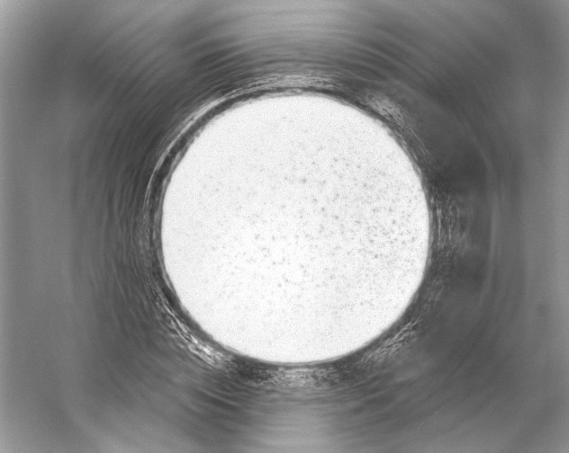 X0000053120828200508081249