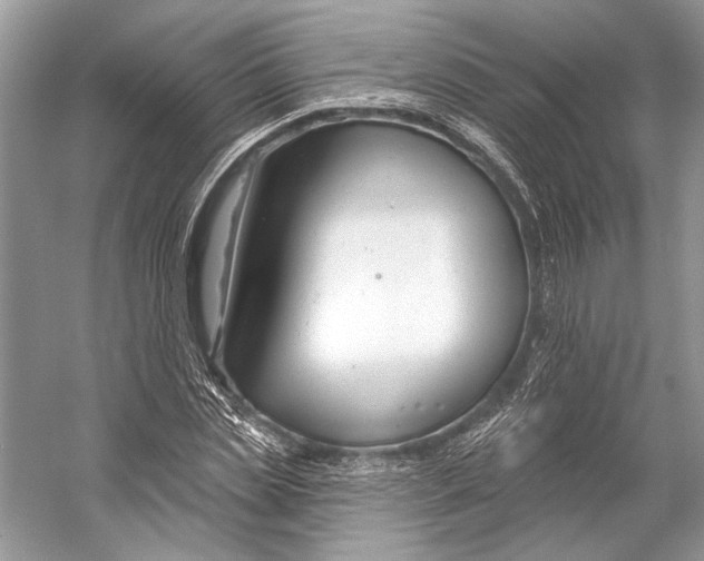 X0000053120829200508081249