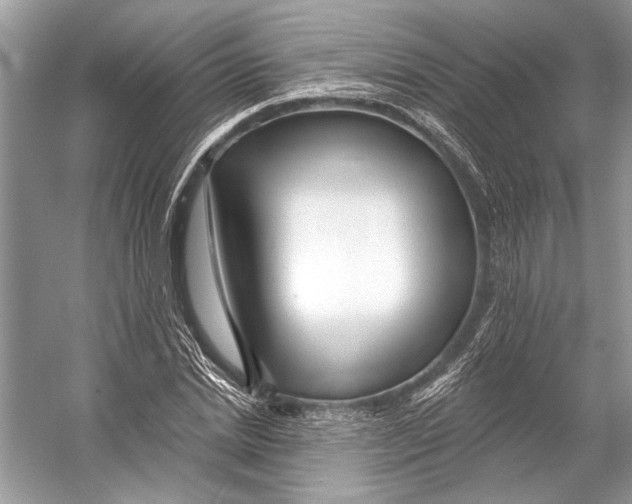 X0000053120830200508081249