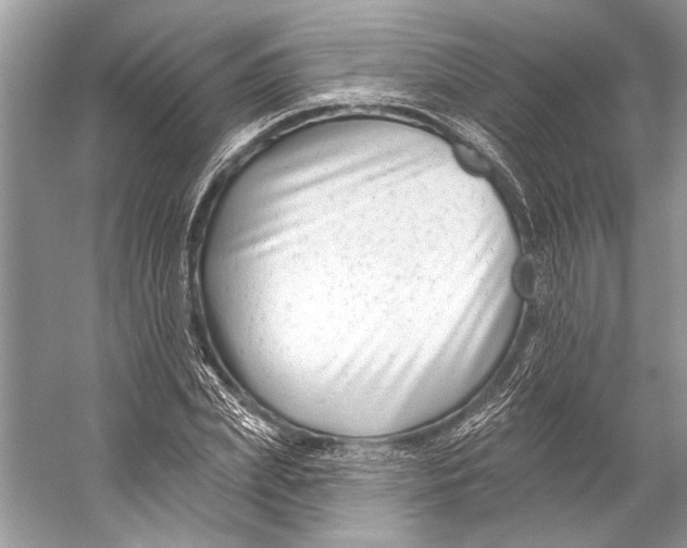 X0000053120831200508081249