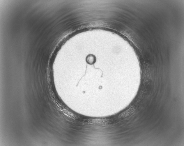 X0000053120832200508081249