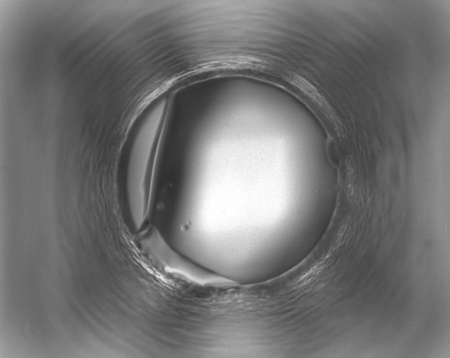 X0000053120834200508081249