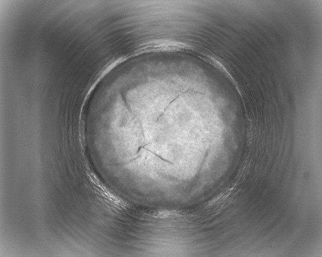 X0000053120835200508081249