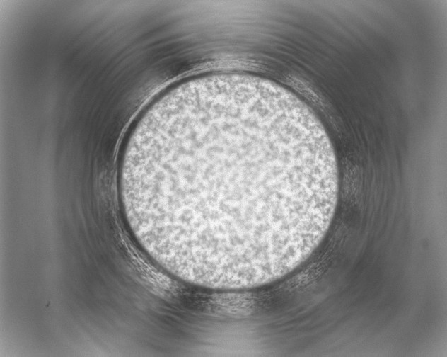 X0000053120836200508081249