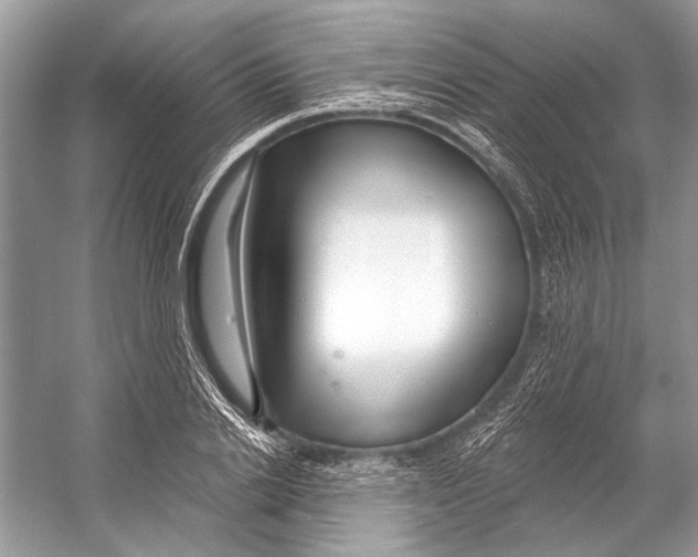 X0000053120838200508081249