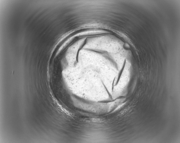 X0000053120839200508081249