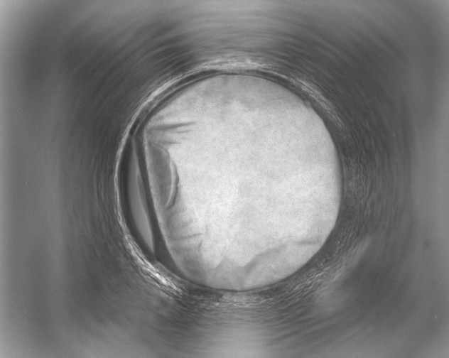 X0000053120840200508081249