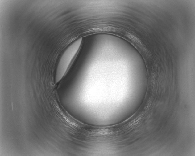 X0000053120841200508081249