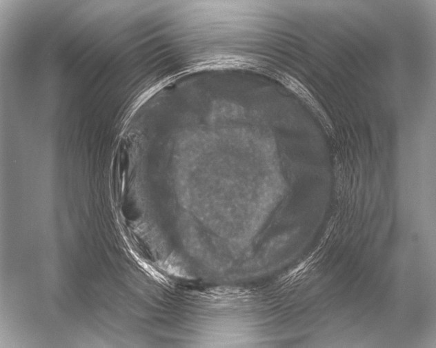 X0000053120842200508081249