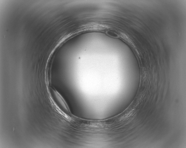 X0000053120843200508081249