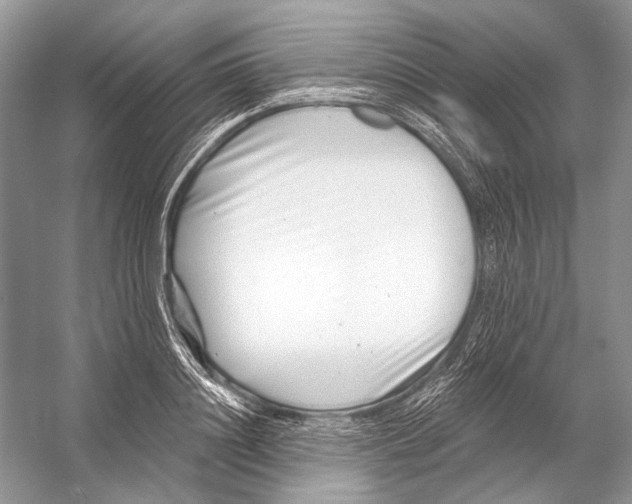 X0000053120844200508081249