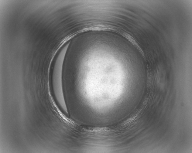 X0000053120845200508081249