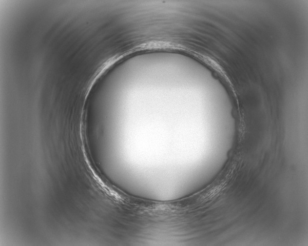 X0000053120847200508081250