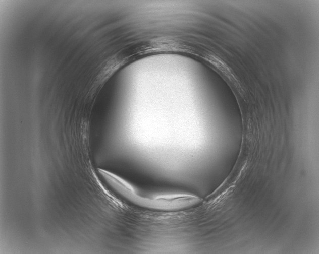 X0000053120849200508081250