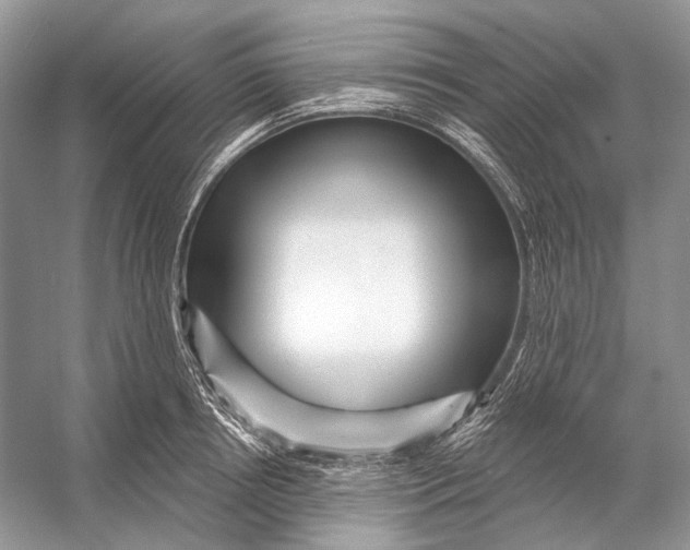 X0000053120850200508081250