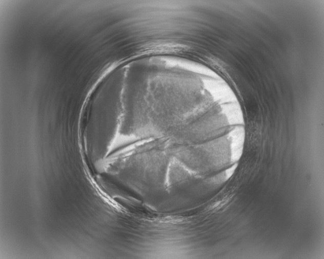 X0000053120851200508081250