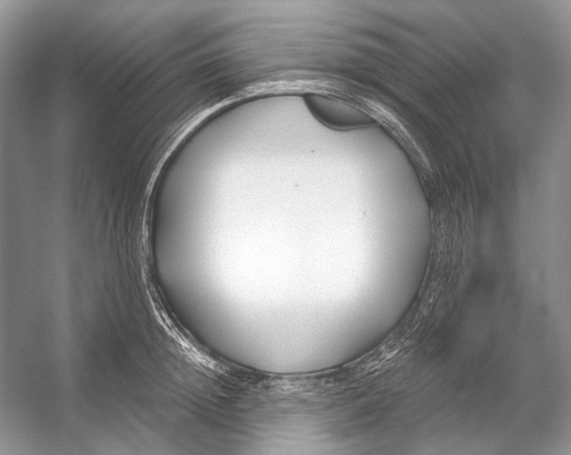 X0000053120852200508081250