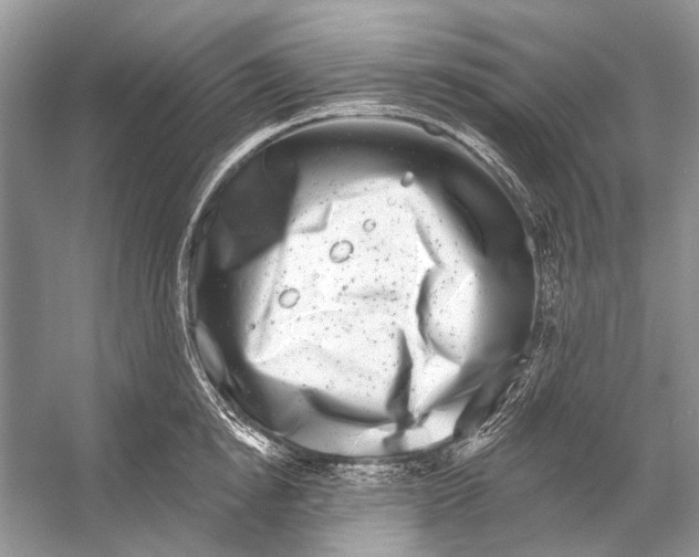 X0000053120854200508081250