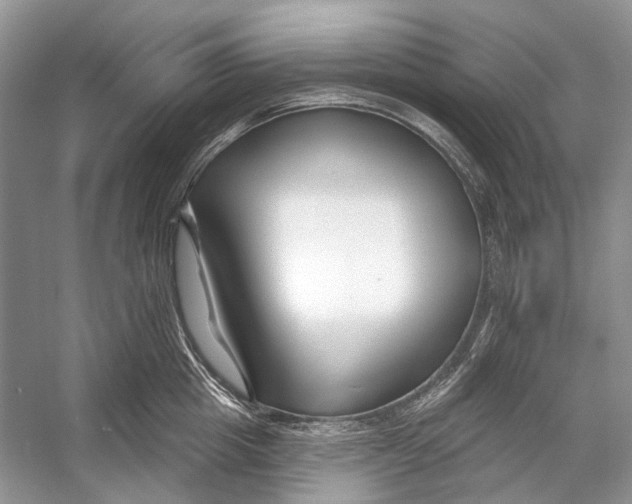 X0000053120857200508081250