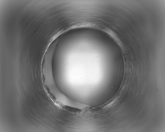 X0000053120858200508081250